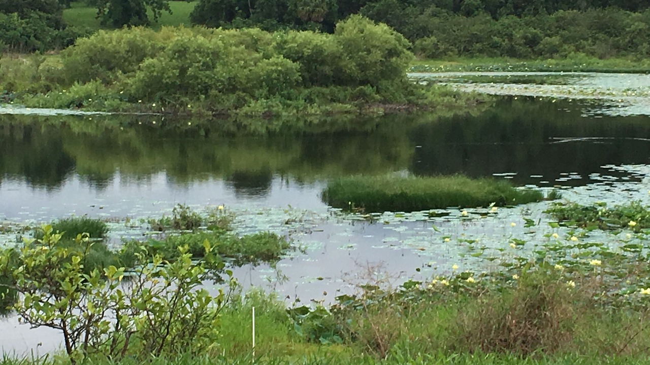 Photo of Outdoor in Mount Dora