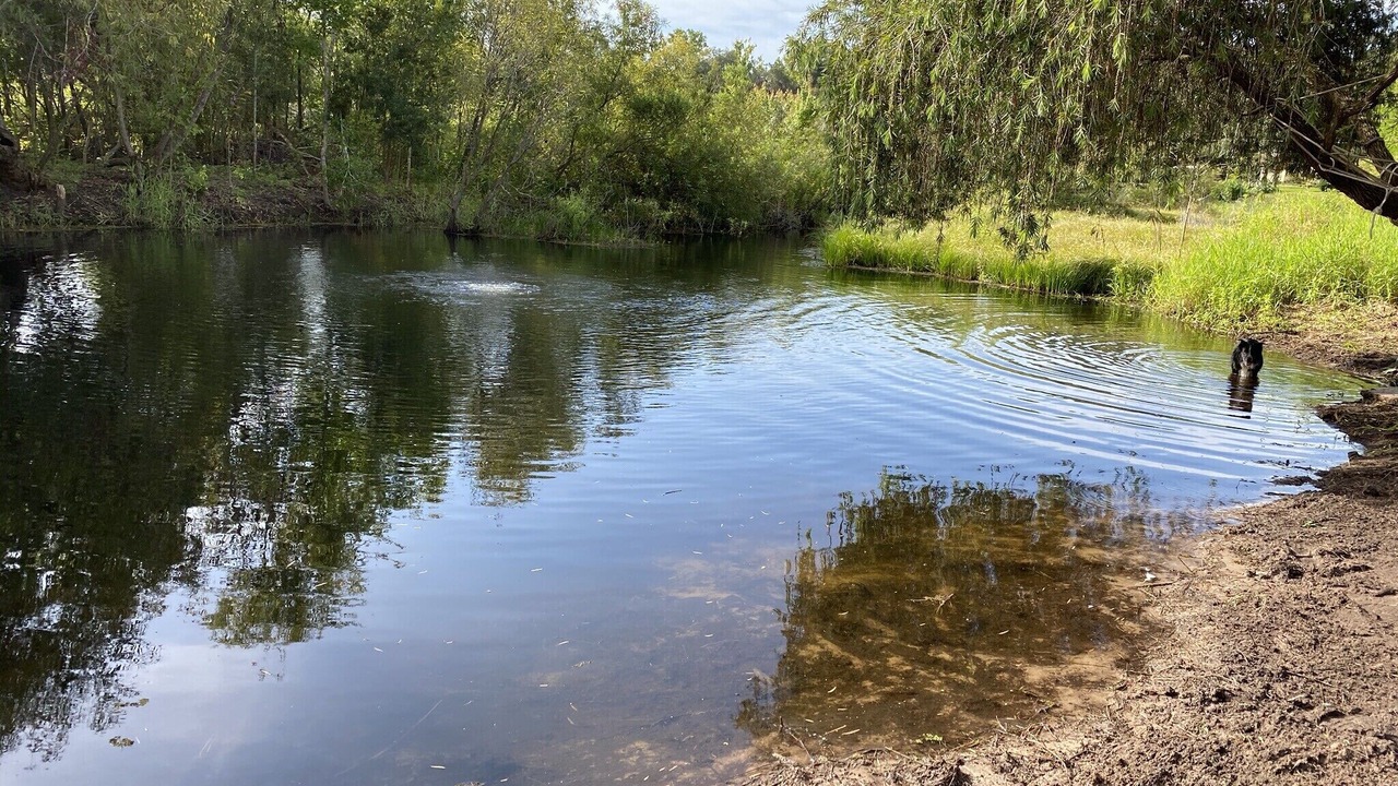Photo of Outdoor in Mount Dora