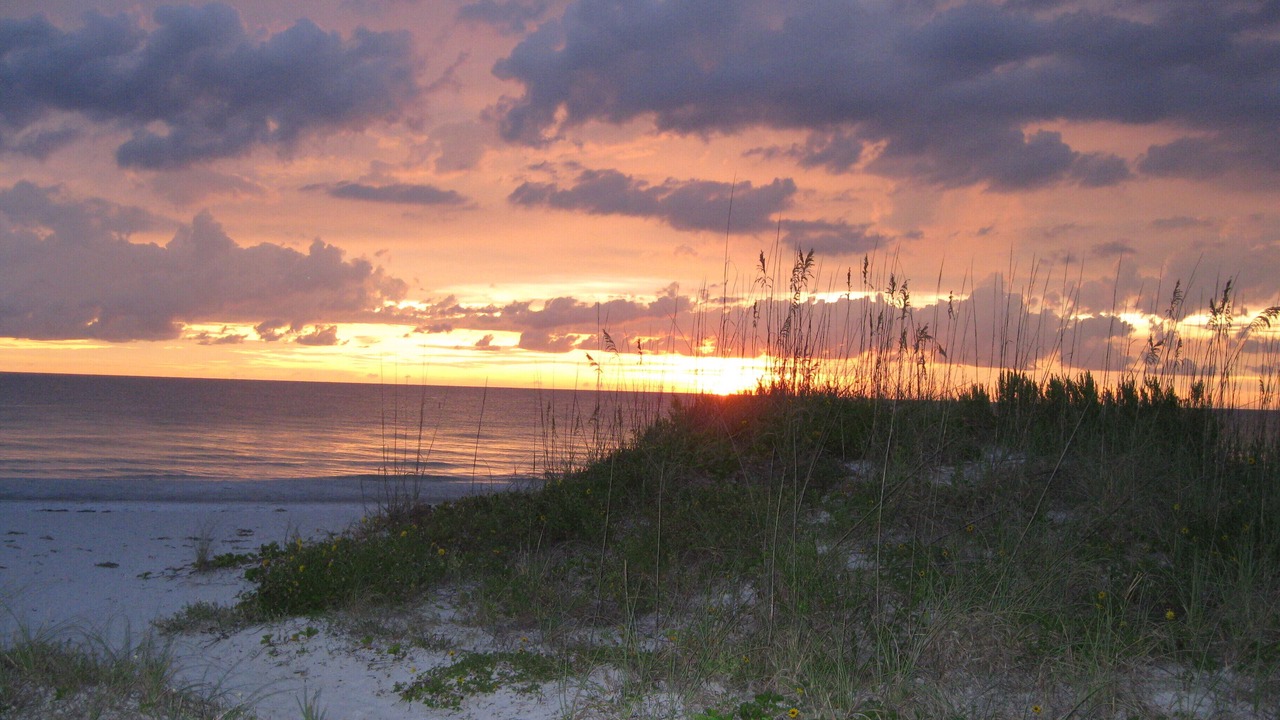 Photo of Others in Indian Rocks Beach