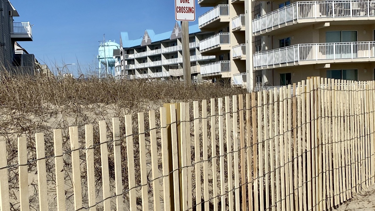 Photo of Outdoor in Midtown Ocean City