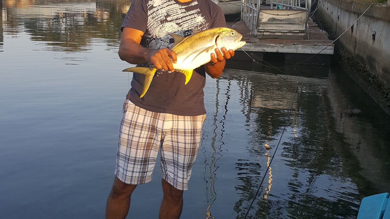 Photo of Others in Coquina Key