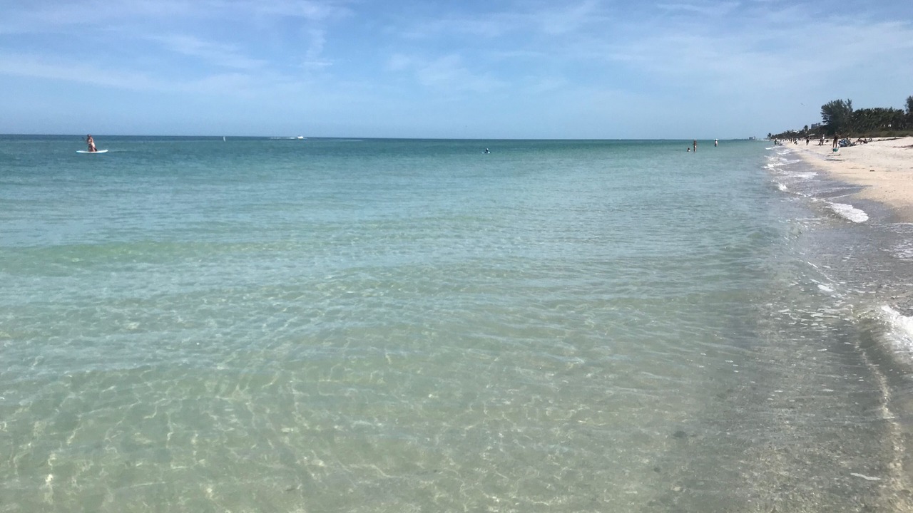 Photo of Others in Indian Rocks Beach