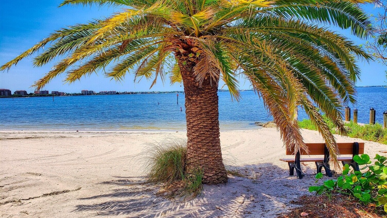 Photo of Others in Cape Coral