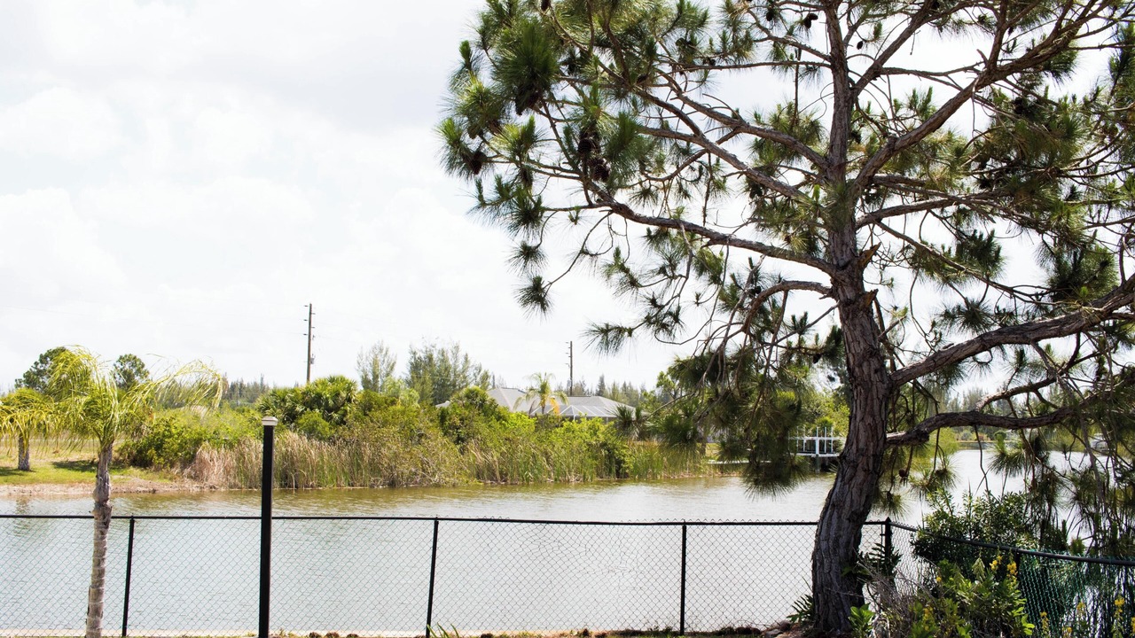 Photo of Others in South Gulf Cove