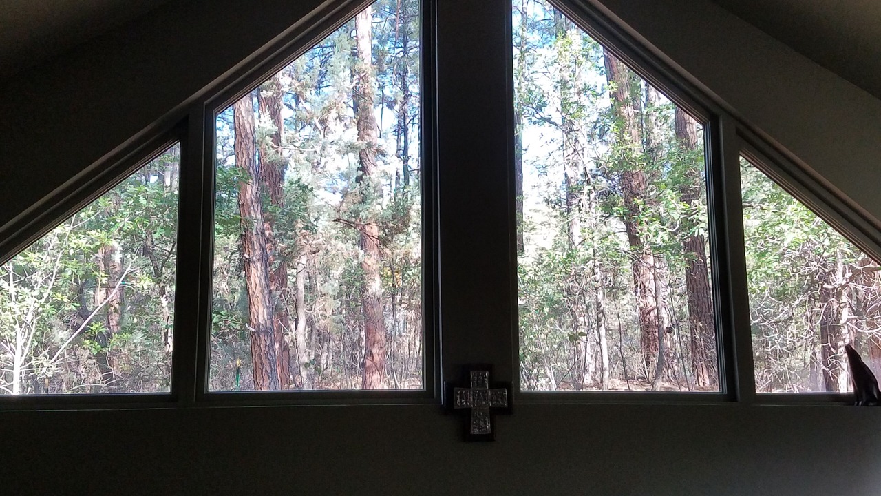 Photo of Others in Pine