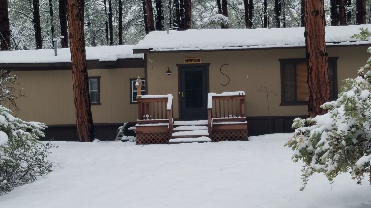 Photo of Outdoor in Pine