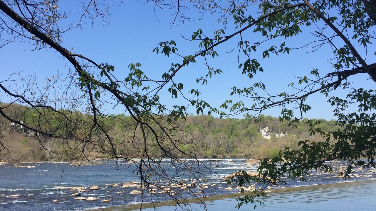 Photo of Outdoor in Brookmont
