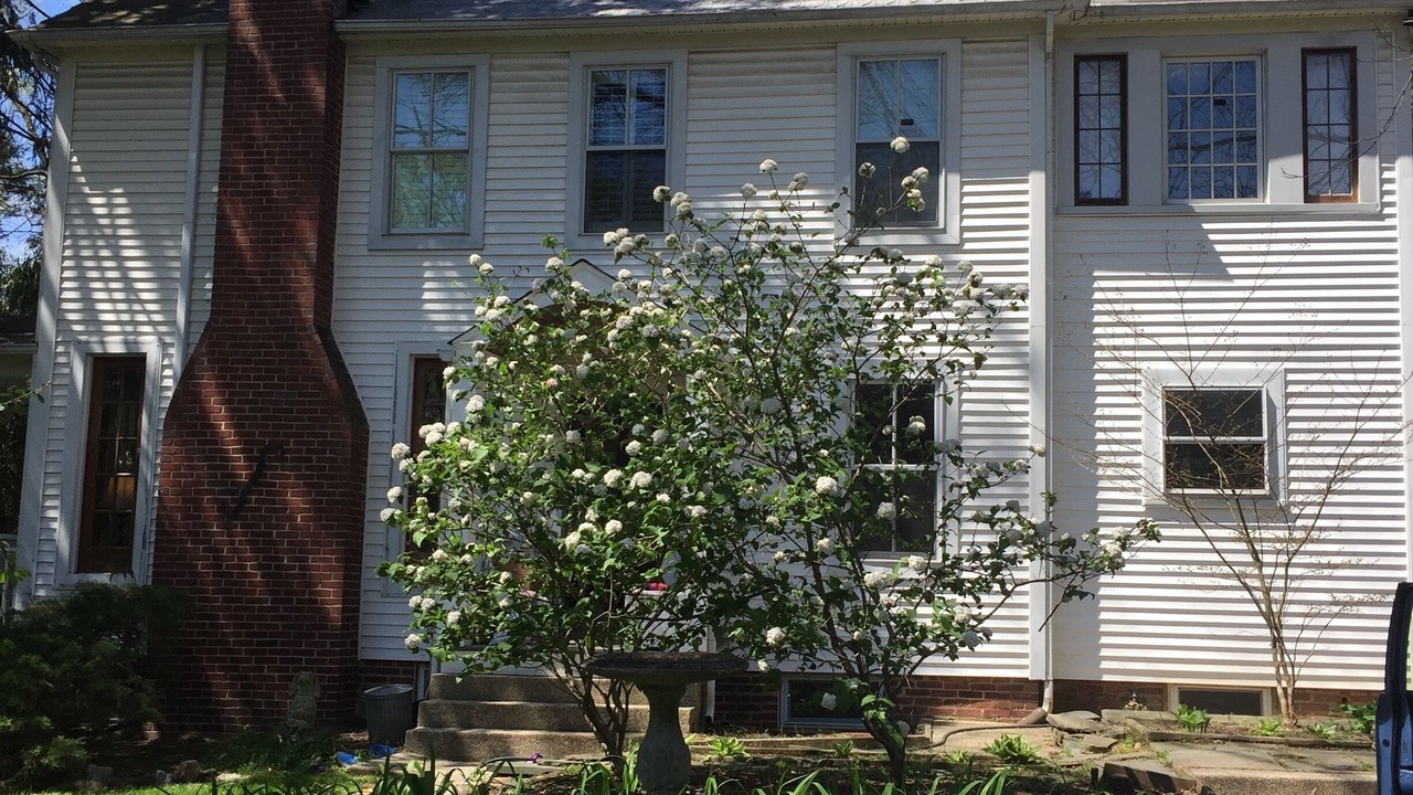 Photo of Outdoor in Brookmont