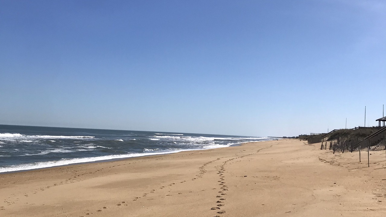 Photo of Others in Southern Shores
