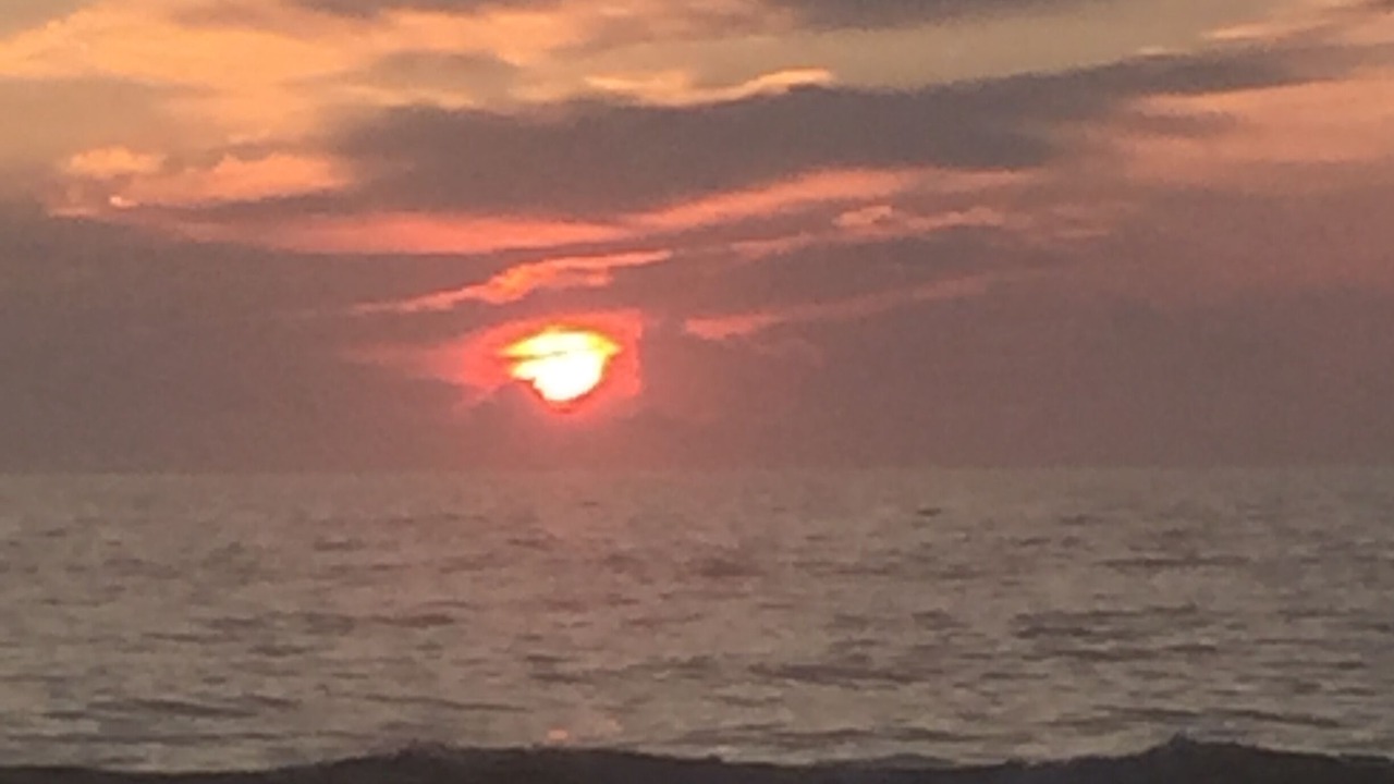 Photo of Others in Southern Shores