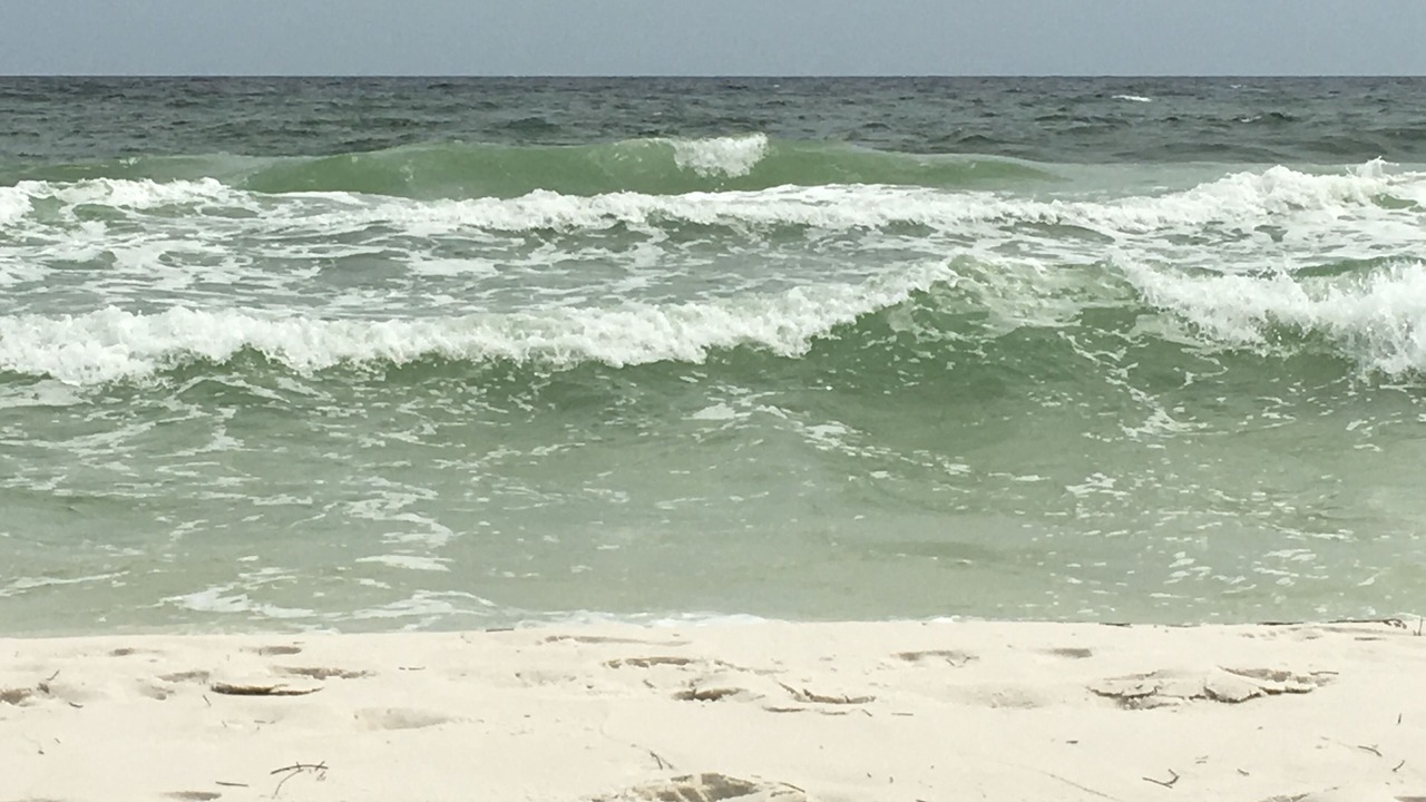 Photo of Others in Destin