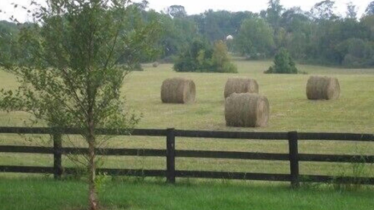 Photo of Others in Lovettsville