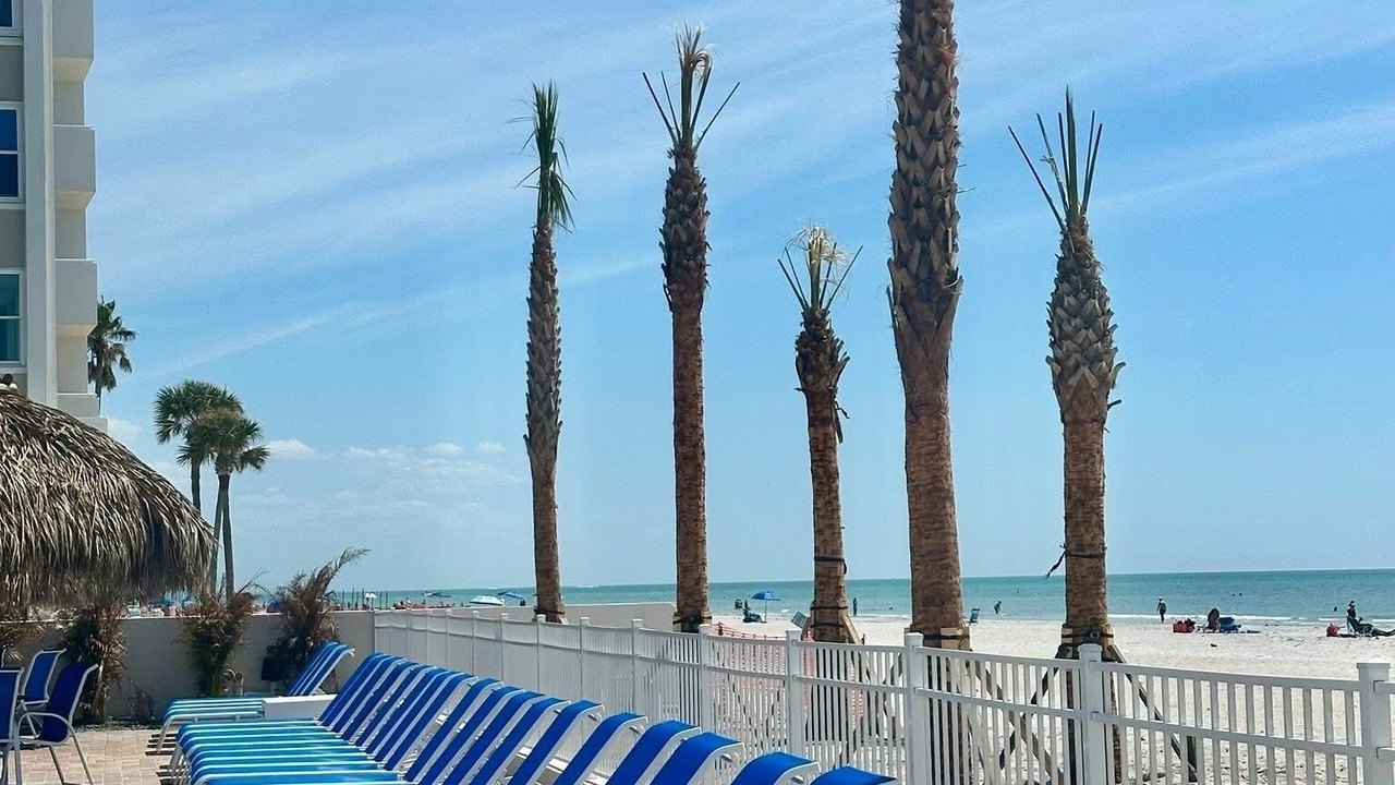 Photo of Outdoor in Redington Shores