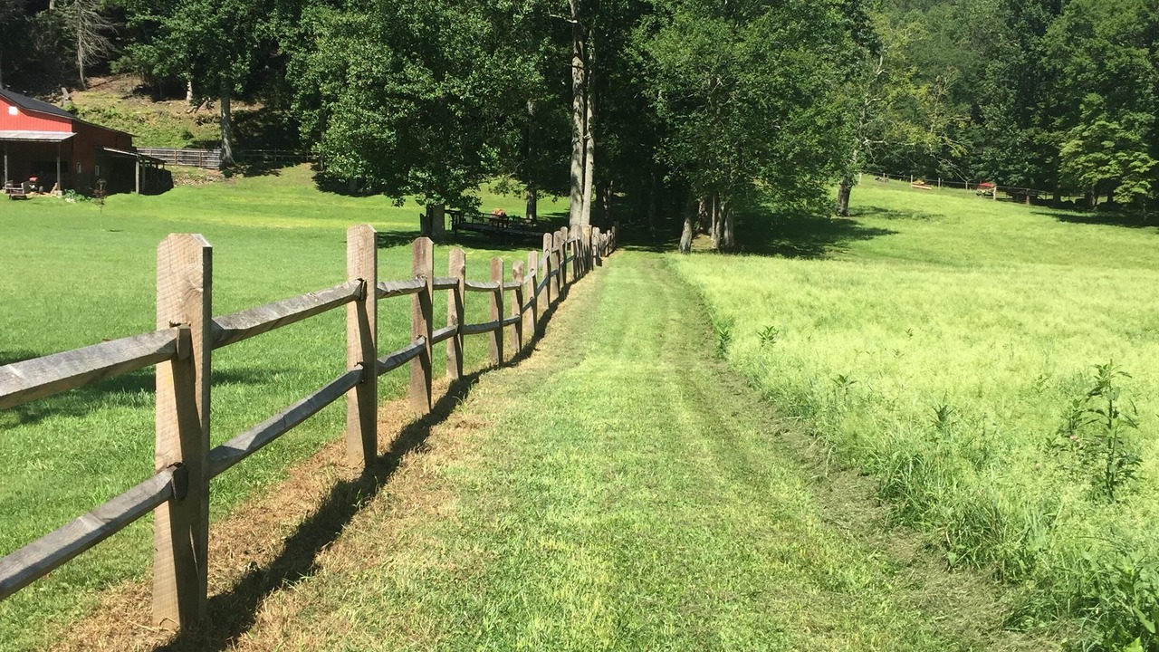 Photo of Others in Roan Mountain