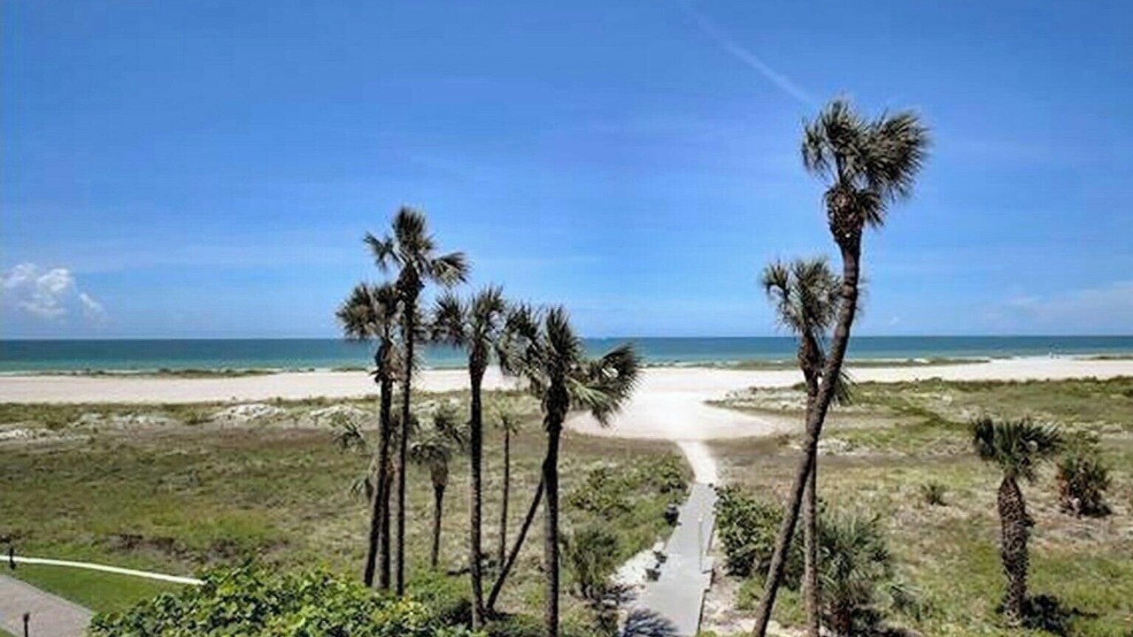 Photo of Others in Sand Key