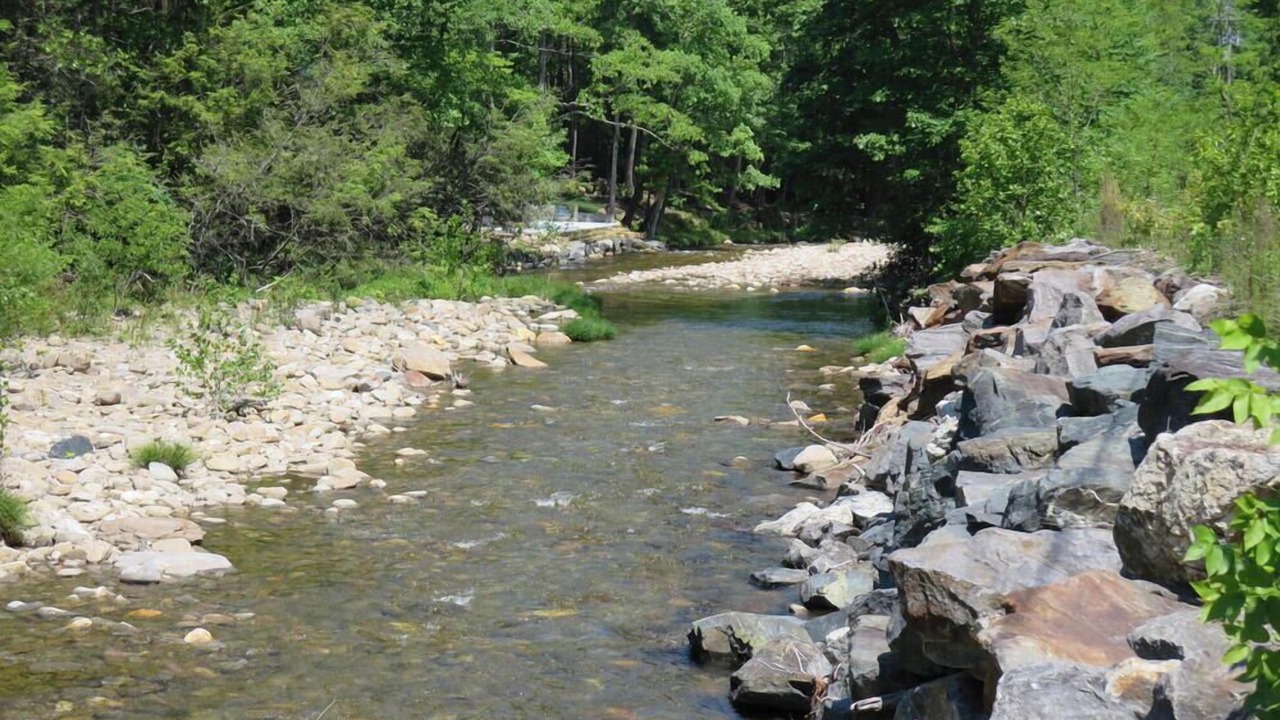 Photo of Others in Burnsville