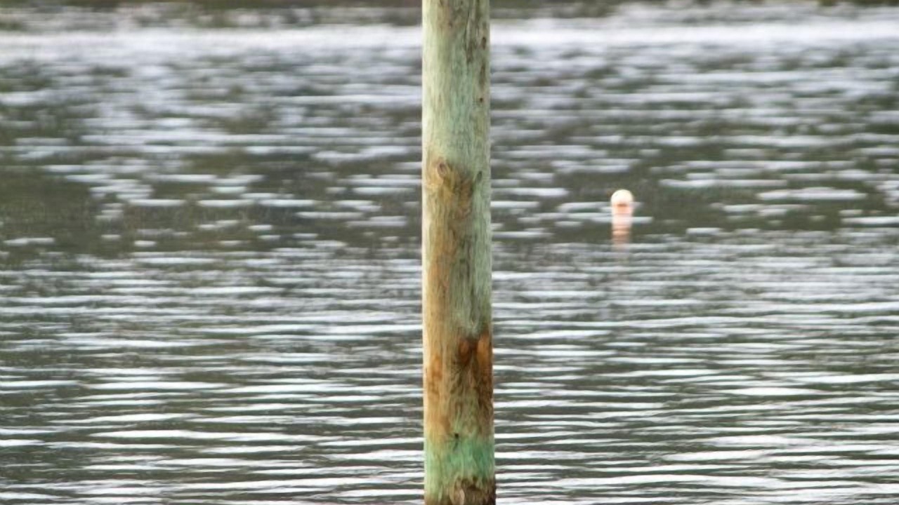 Photo of Others in Ware