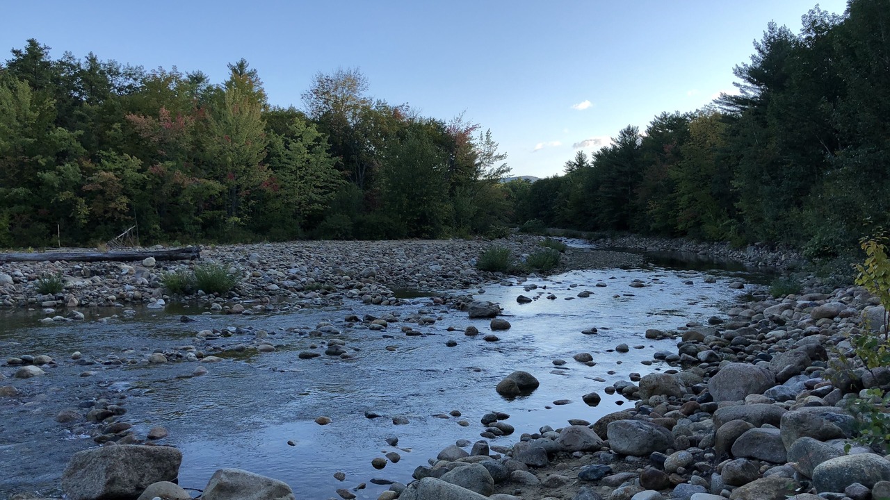 Photo of Others in Intervale