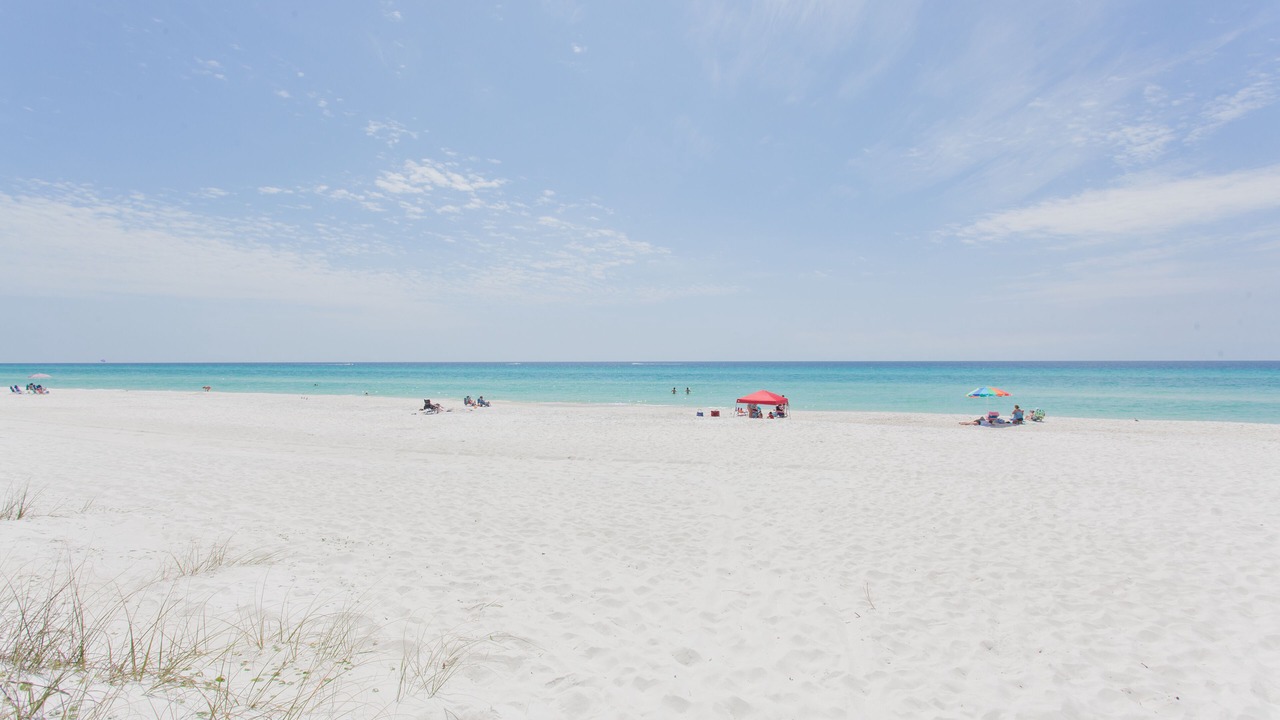 Photo of Others in West Panama City Beach