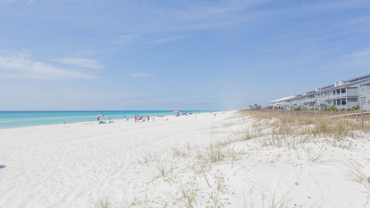 Photo of Others in West Panama City Beach