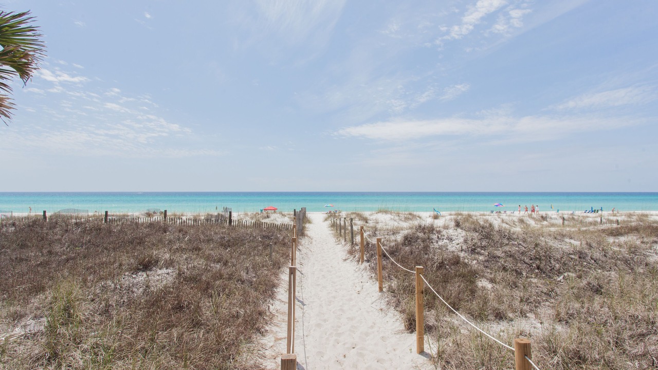 Photo of Others in West Panama City Beach