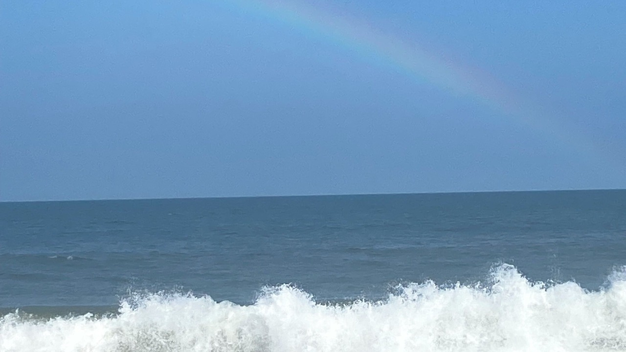 Photo of Others in Fenwick Island