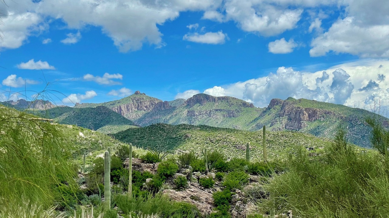 Photo of Others in Tucson