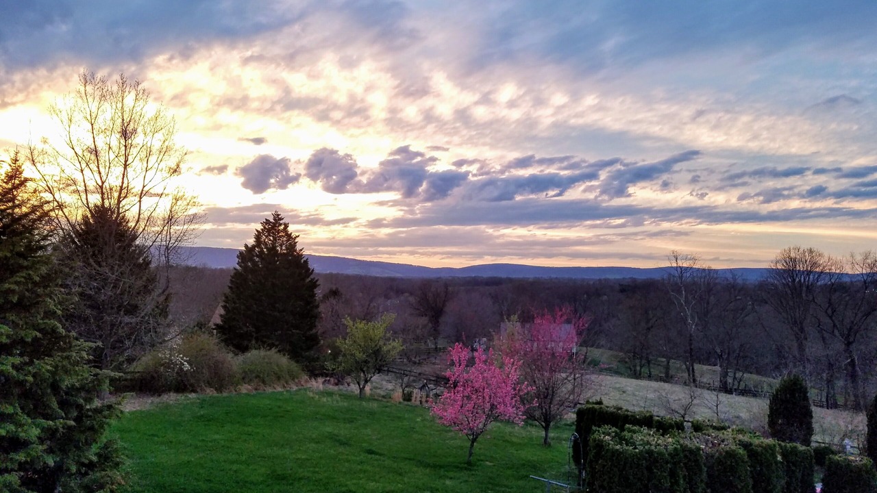 Photo of Outdoor in Philomont