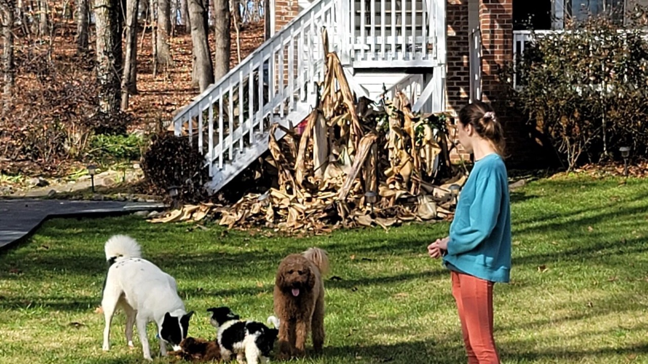 Photo of Outdoor in Macon