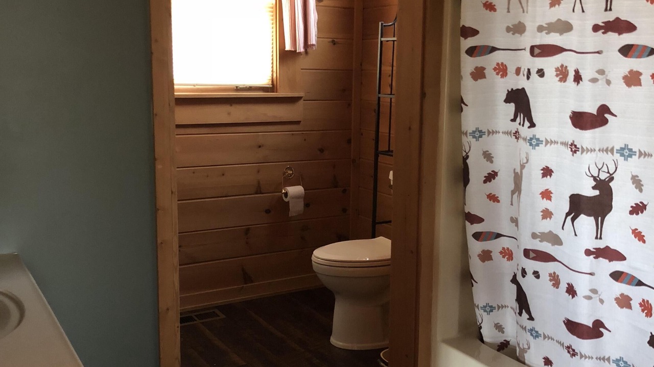 Photo of Bathroom in Wears Valley