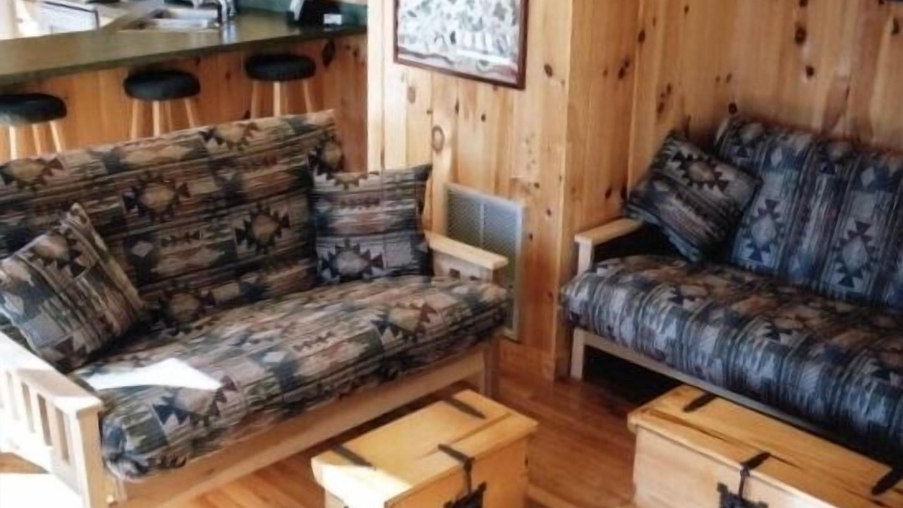 Photo of Livingroom in Roan Mountain