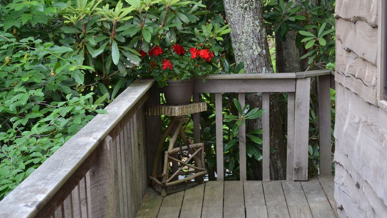 Photo of Patio Balcony in Roan Mountain