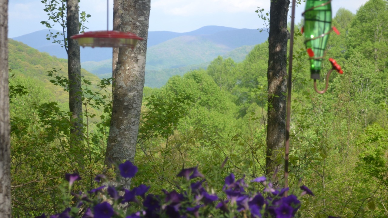 Photo of Outdoor in Roan Mountain