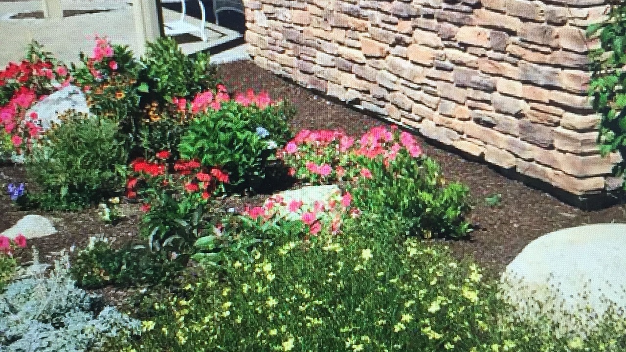 Photo of Outdoor in Hulls Cove