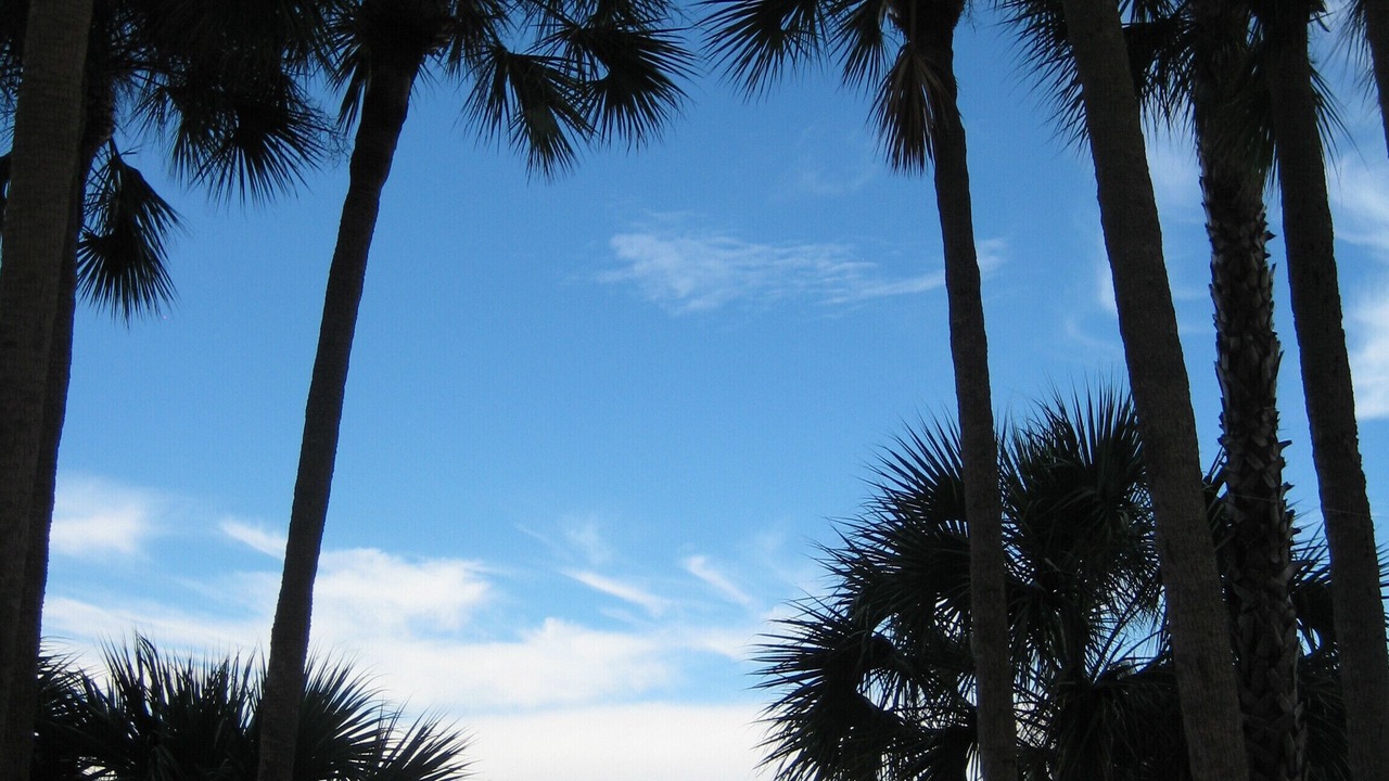 Photo of Outdoor in Sand Key