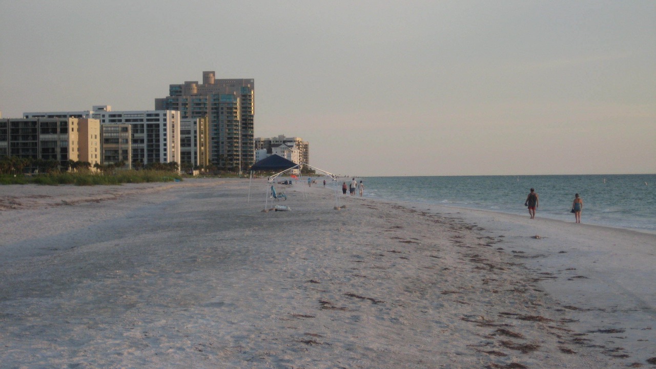 Photo of Others in Sand Key
