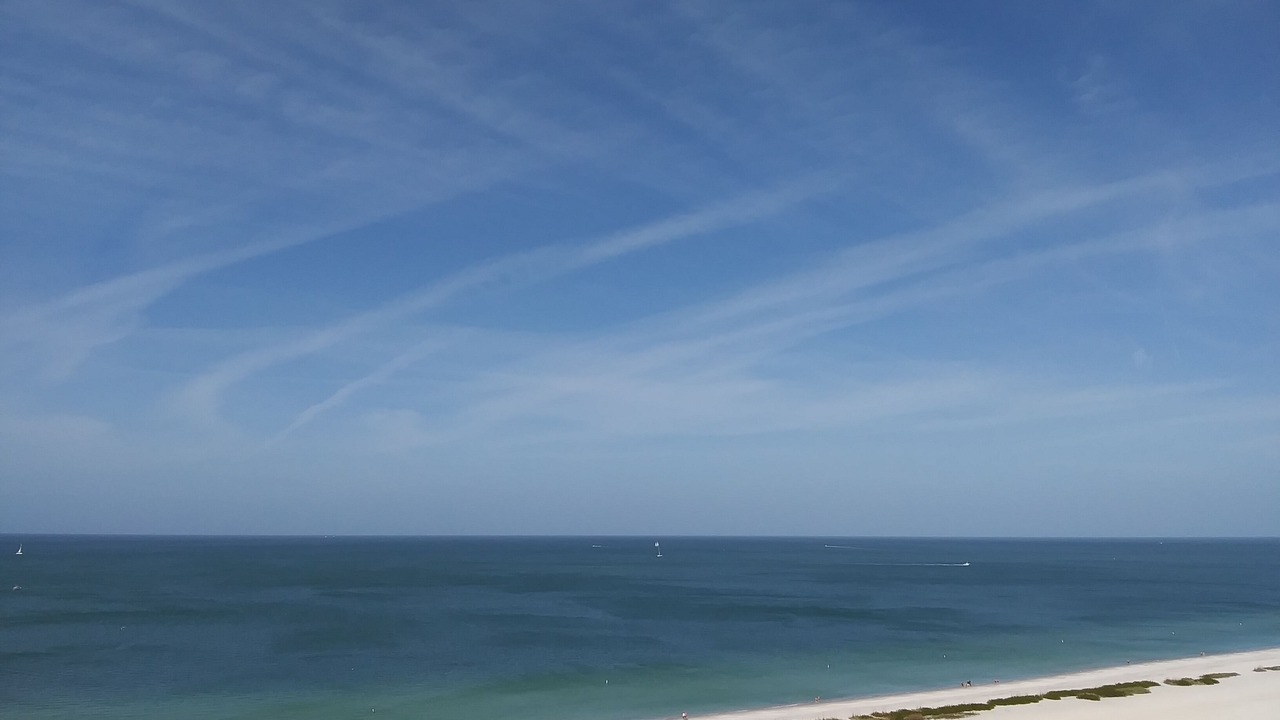 Photo of Others in Sand Key