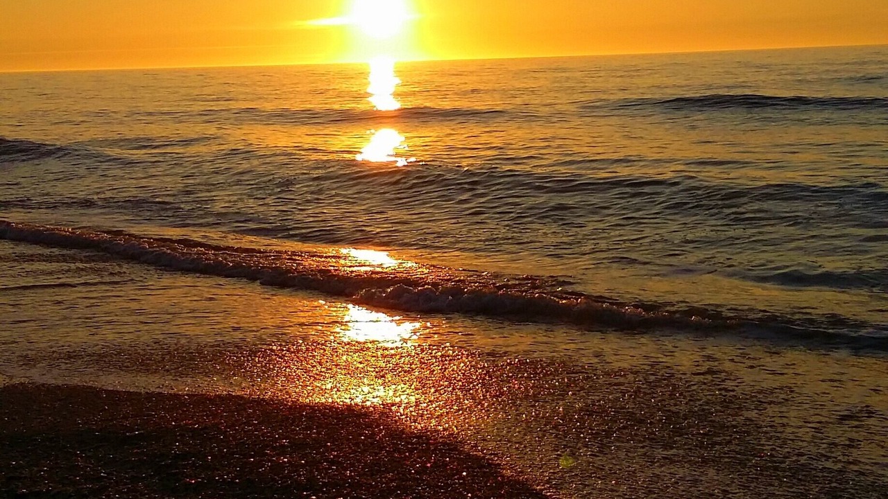 Photo of Others in Sand Key