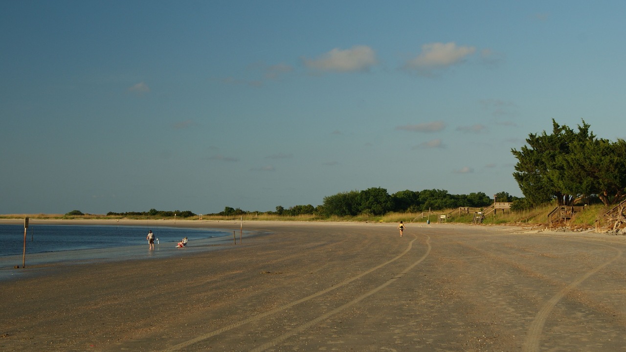 Photo of Others in Tybee Island