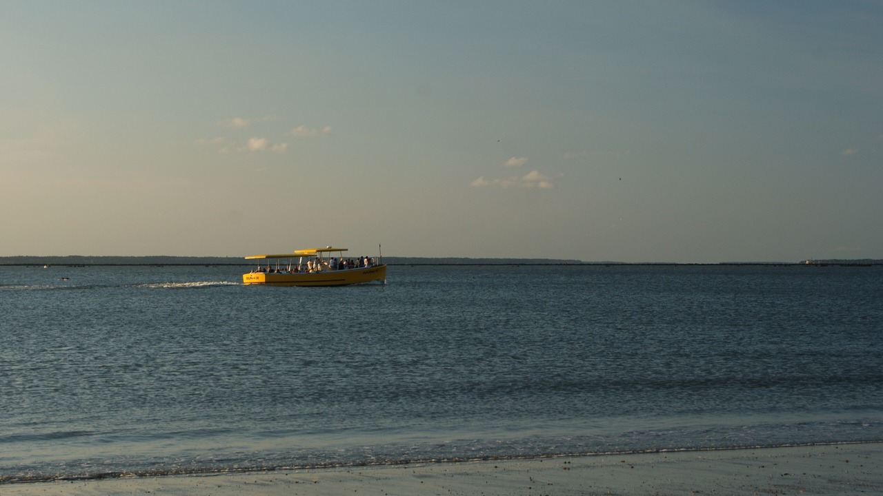 Photo of Others in Tybee Island