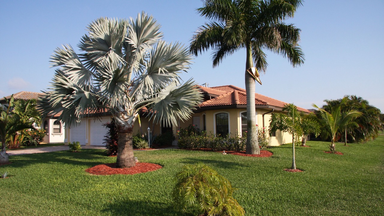 Photo of Outdoor in Pelican