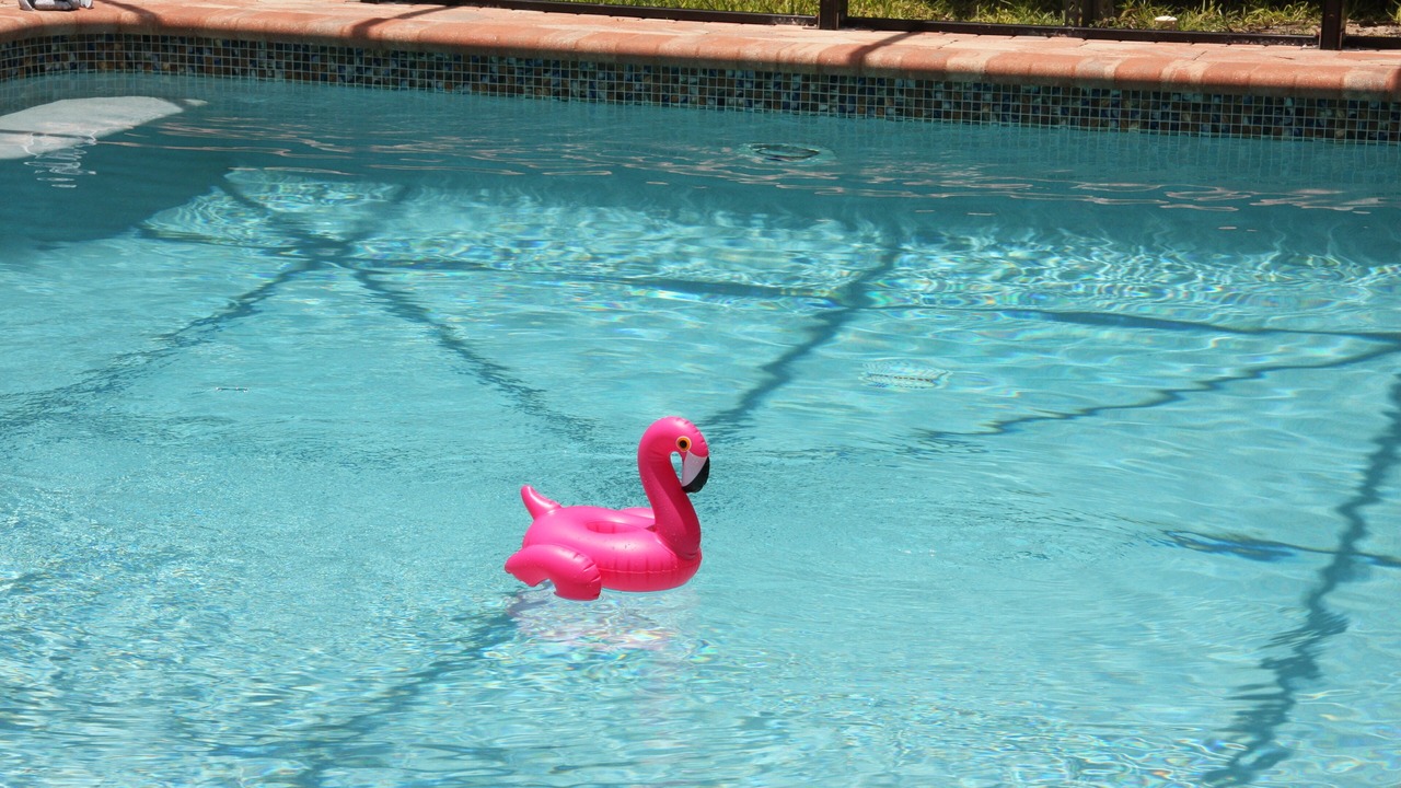 Photo of Outdoor in Pelican