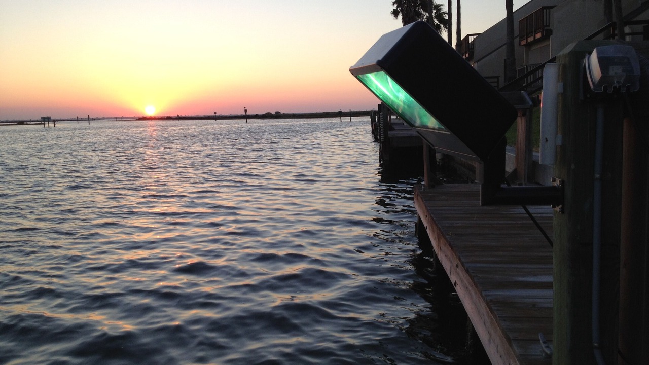Photo of Others in Corpus Christi