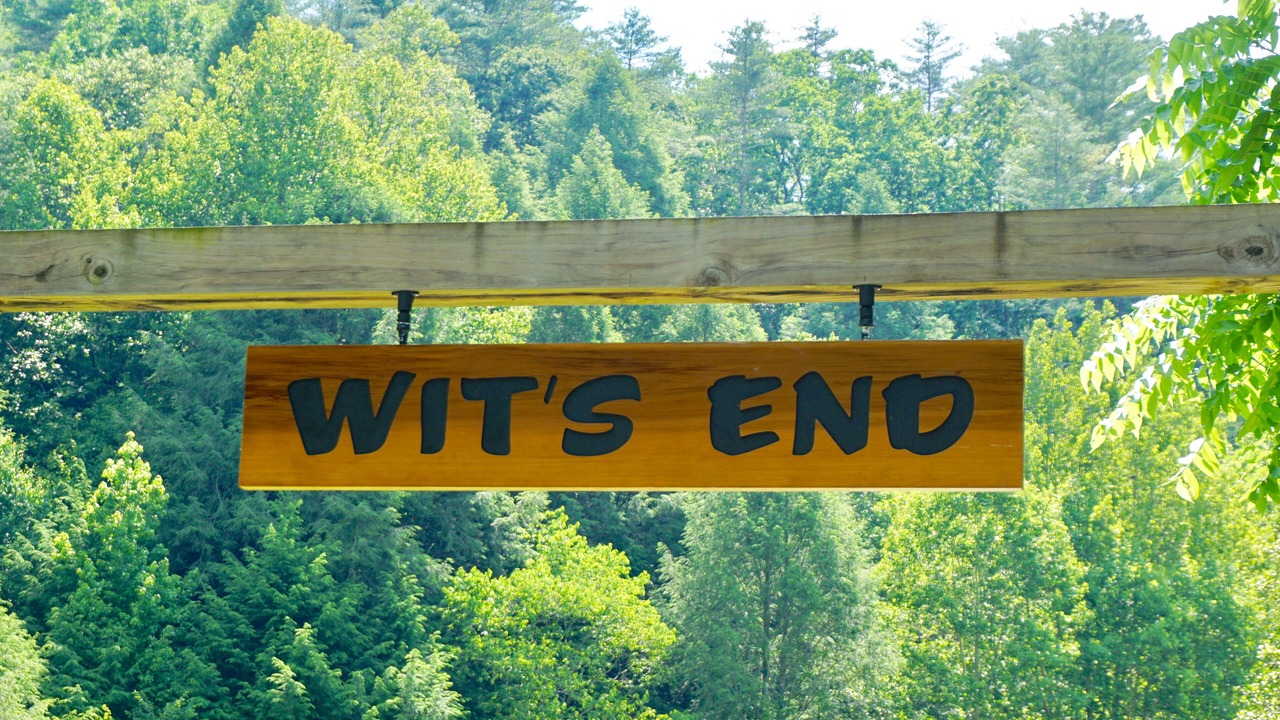 Photo of Others in Ellijay