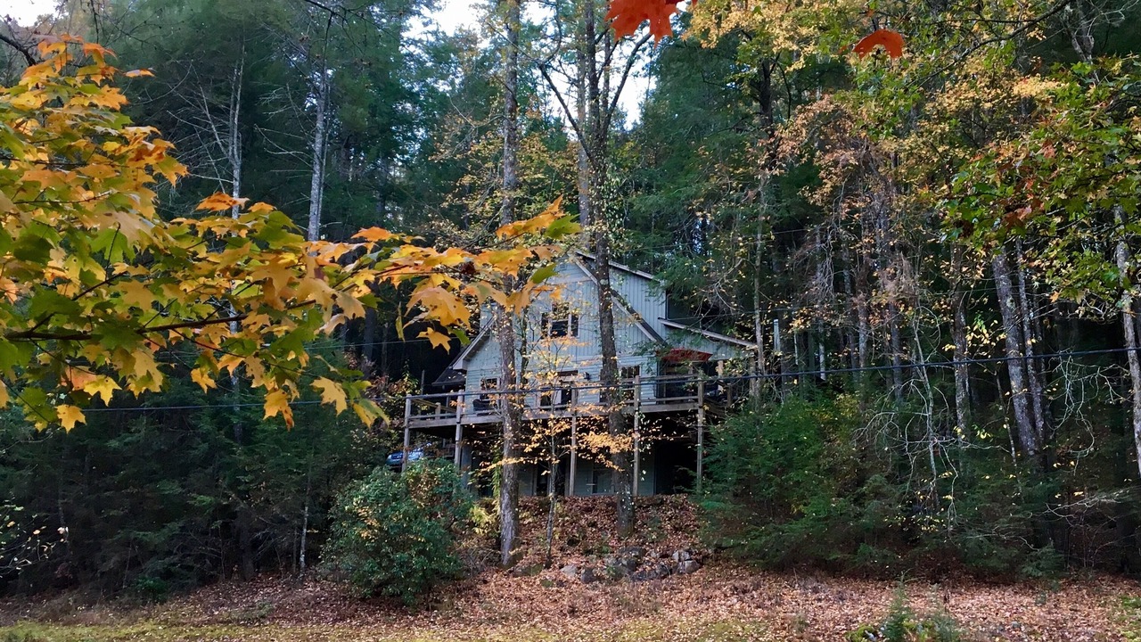 Photo of Others in Ellijay