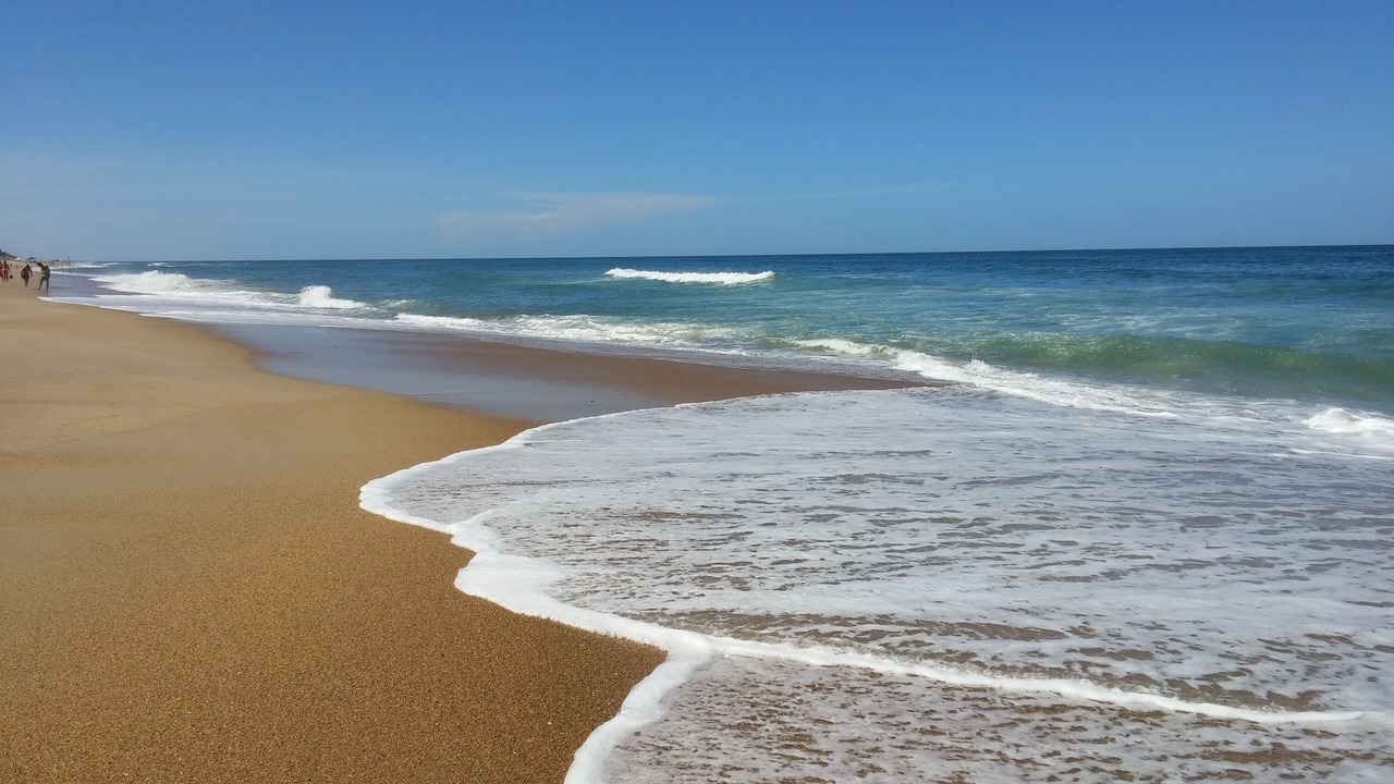 Photo of Others in Carolina Dunes