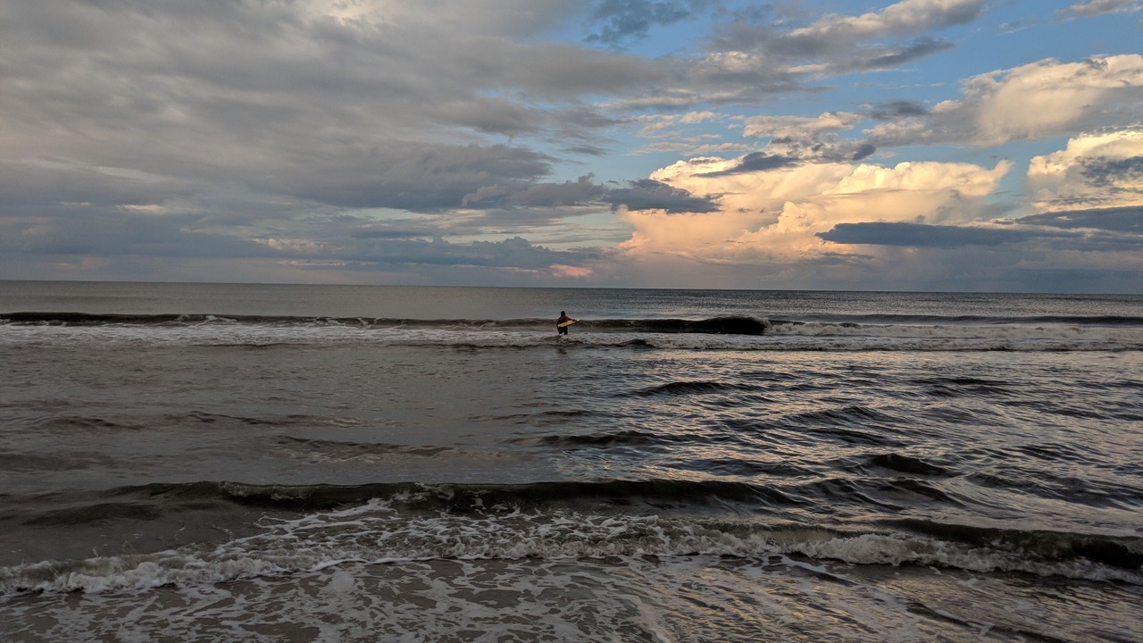 Photo of Others in Carolina Dunes