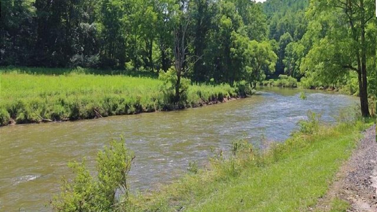 Photo of Outdoor in Lansing