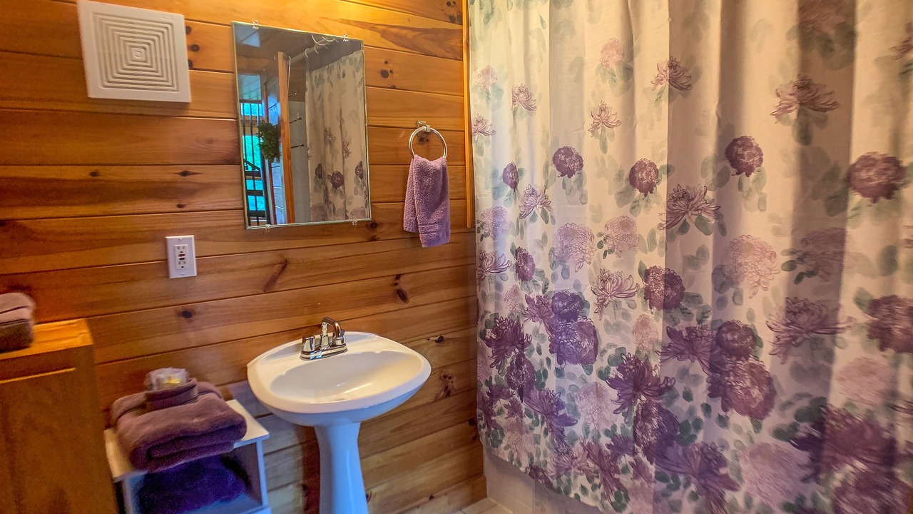 Photo of Bathroom in Lansing
