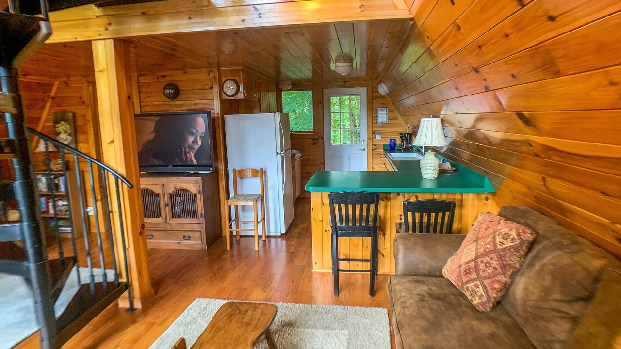 Photo of Livingroom in Lansing